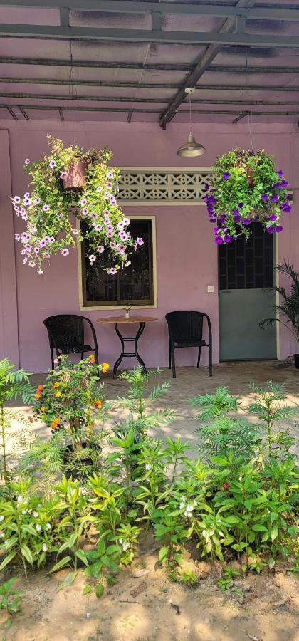 The Purple House Apartment Siem Reap Bilik gambar